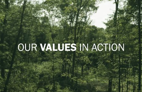 NWH – Our Values in Action.