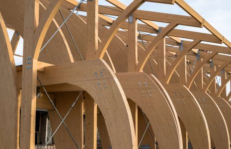 Hardwoods – The Future of Sustainable Construction